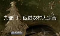 九部門：促進農村大宗商品消費更新換代