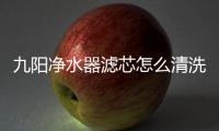 九陽凈水器濾芯怎么清洗，凈水器濾芯怎么清洗