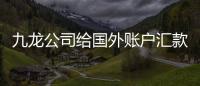 九龍公司給國(guó)外賬戶匯款需要什么手續(xù)