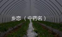 鄉戀 （中藥名）