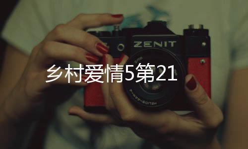 鄉(xiāng)村愛情5第21