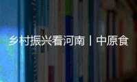 鄉村振興看河南丨中原食品實驗室里有什么？一起去看看