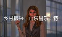 鄉(xiāng)村振興丨山東昌樂：特色農(nóng)業(yè)富民增收鋪就鄉(xiāng)村振興路