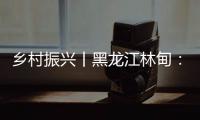 鄉村振興丨黑龍江林甸：“牛”產業奏響強縣“新牧歌”