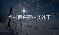 鄉村振興要往實處干