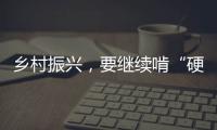 鄉村振興，要繼續啃“硬骨頭”  160個重點幫扶縣，大多數曾是深度貧困縣