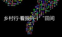 鄉(xiāng)村行·看振興丨“田間學(xué)校”助力鄉(xiāng)村產(chǎn)業(yè)振興