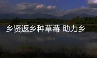 鄉(xiāng)賢返鄉(xiāng)種草莓 助力鄉(xiāng)村振興