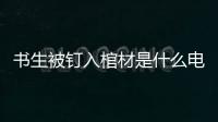 書生被釘入棺材是什么電影