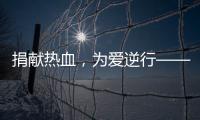 捐獻熱血，為愛逆行——郵儲銀行莆田市城廂區(qū)支行在行動