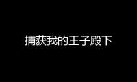 捕獲我的王子殿下