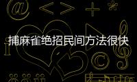 捕麻雀絕招民間方法很快，快速捕麻雀的方法