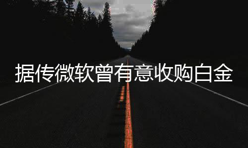 據傳微軟曾有意收購白金工作室最終未能成行