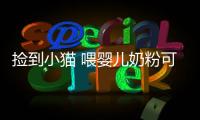 撿到小貓 喂嬰兒奶粉可以嗎？撿到小貓 喂嬰兒奶粉好嗎