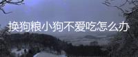 換狗糧小狗不愛吃怎么辦？換狗糧小狗不愛吃怎么回事