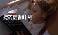 搗碎檀香葉 鋪就致富路