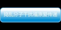 搗亂分子干擾福原愛傳遞火炬 網友強烈聲討