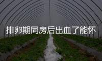 排卵期同房后出血了能懷孕嗎