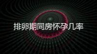 排卵期同房懷孕幾率