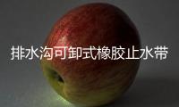 排水溝可卸式橡膠止水帶規(guī)格尺寸