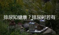 排尿知健康？排尿時若有哪些異常，可能是腎出問題了，別不當回事