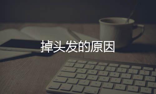 掉頭發的原因