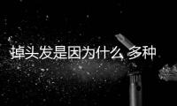 掉頭發(fā)是因為什么 多種因素可能導(dǎo)致掉頭發(fā)