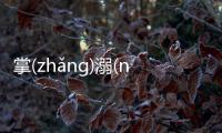 掌(zhǎnɡ)溺(nì)淄(zī)砰(pēnɡ)什么原因?