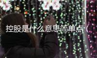 控股是什么意思簡單點（控股是什么意思）