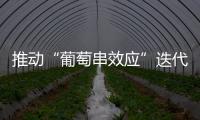 推動“葡萄串效應(yīng)”迭代升級（縱橫）