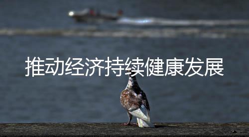 推動經濟持續健康發展