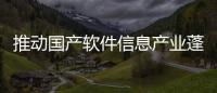 推動國產軟件信息產業蓬勃發展