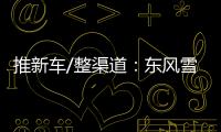 推新車/整渠道：東風(fēng)雪鐵龍發(fā)力脫困