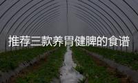 推薦三款養胃健脾的食譜