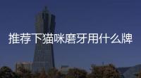 推薦下貓咪磨牙用什么牌子好呢？推薦下貓咪磨牙用什么牌子好用