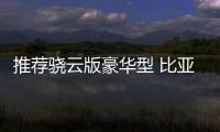 推薦驍云版豪華型 比亞迪宋Pro購車指南
