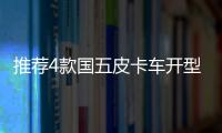 推薦4款國五皮卡車開型 價格10萬左右