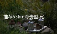推薦55km尊貴型 比亞迪驅逐艦05購車指南
