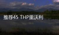 推薦45 THP里沃利版 DS 9購車指南