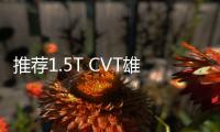 推薦1.5T CVT雄起版 凱翼軒度購(gòu)車(chē)指南