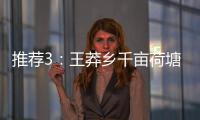推薦3：王莽鄉(xiāng)千畝荷塘