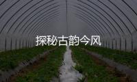 探秘古韻今風