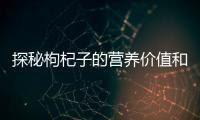 探秘枸杞子的營養價值和保健功效