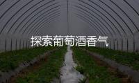 探索葡萄酒香氣