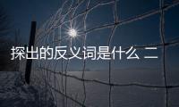 探出的反義詞是什么 二年級（探出的反義詞）