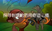 探尋刺猬的藥用奇跡，揭秘健康與美麗的秘密