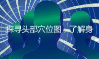 探尋頭部穴位圖，了解身體健康秘密