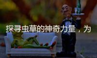 探尋蟲草的神奇力量，為你揭秘營(yíng)養(yǎng)與美容的秘密