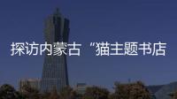 探訪內蒙古“貓主題書店”：“擼貓＋研學”解鎖暑期打卡新地標