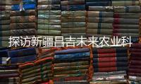探訪新疆昌吉未來(lái)農(nóng)業(yè)科技館：蔬菜“坐纜車(chē)” 冬日綠意濃